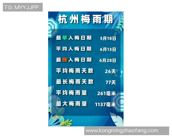 杭州排球队实力分析与未来发展潜力的深度探讨